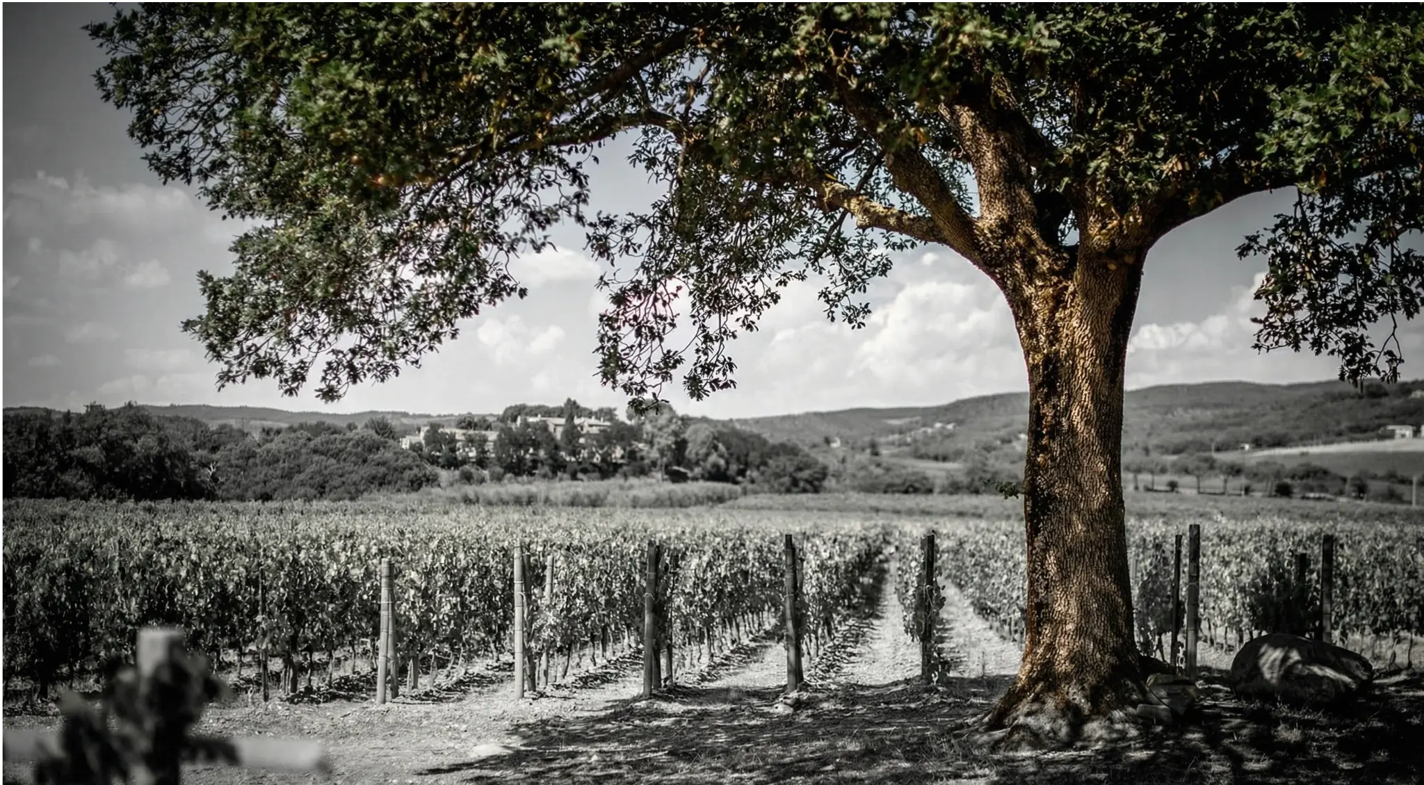 Under Pressure — blind tasting